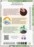(2 Packs) Seed Needs Large Leaf Sorrel Seeds for Planting - Heirloom Non-GMO & Untreated Medicinal or Culinary Herb