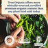 6lb True Organic Garden Lime Raises Soil pH to Reduce Acidity Ideal for Hydrangeas and Other Plants Bag