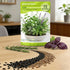 15-Pack 4,500+ Pack Herb Seeds Non-GMO Heirloom Seeds for Planting Indoor & Outdoor Herb Garden Kit with Basil