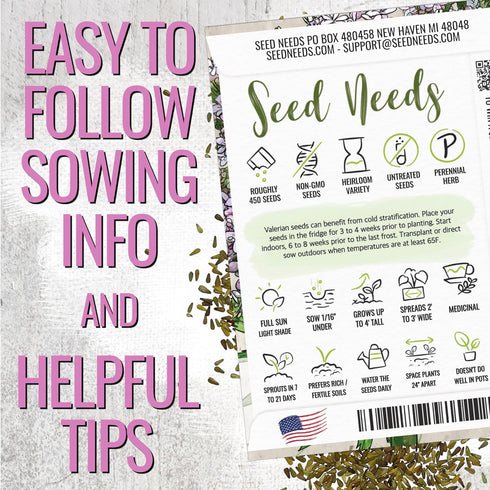 (1 Pack) Seed Needs Valerian Seeds for Planting Stink Root Plants - Non-GMO Heirloom & Untreated Perennial Medicinal