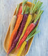 1500 Burpee Kaleidoscope Blend Carrot Seeds seeds