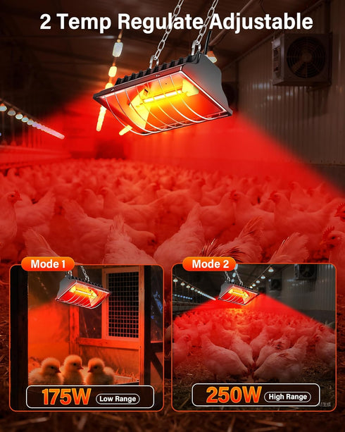 175W 250W 3M Chicken Coop Heater, ZIVASA & Dual-Mode Heat Lamp for Chickens with Cord, Adjustable Hanging Height