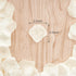 HongyiTime 1200 PCS Artificial Silk Rose Petals for Wedding, Party, Event Decoration (Ivory)