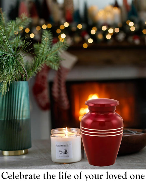 Immortal-Memories Serenity Mini Keepsake Urn for Ashes - Token Urn with Velvet Bag, Mini Jar, Pet Urn (Red)