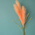 Faux Pampas Grass, Artificial Pampas Grass 6pcs, 39" Long Stem, Boho Room Decor Flowers Bunches, Orange