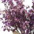 JAKY-Global 6 Bundle Babys Breath Fabric Cloth Artificial Flowers for Wedding Party Decoration (Autumn Purple)