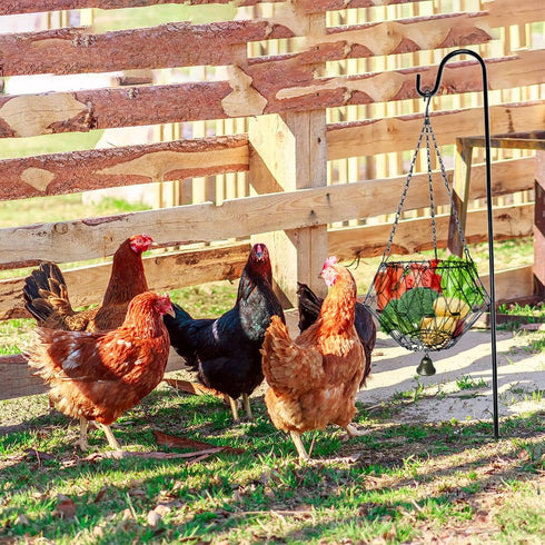 WaiLaDi Hanging Chicken Feeder,Chicken Toys for Coop, Foldable Poultry Vegetable Fruits Feeder Basket with Shepherd's