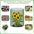 YGGlDUOl 15.7 87 Inches, Chicken Wire, Easy to Shape, x Green PVC Coated Lightweight Galvanized Hexagonal Chicken Wire