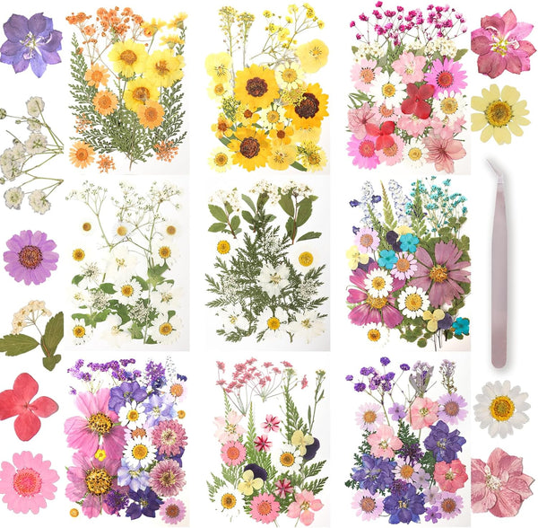 200Pcs Dried Pressed Flowers Resin Mould, Real Flowers & Natural Dry Leaves Kit for DIY Crafts