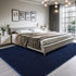 AROGAN Modern Shag Area Rug for Bedroom, 4x6 Feet Washable Plush Memory Foam Indoor Floor Carpet in Navy Blue