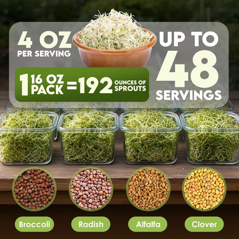 1lb Nature Jims Sprouts Organic Salad Mix Non-GMO Microgreen Seeds, Perfect for Growing Nutritious Organic Broccoli