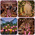 1 3D Summer 9.8ft 20leds Bulbs Baquler Pcs LED Grape String Lights Battery Operated Fruit Light String Grape