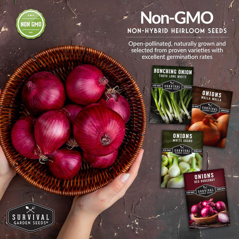 4 Packs Onion Seeds Variety Collection Bunching, Red Burgundy, White Grano & Walla Walla Sweet Onions for Planting a