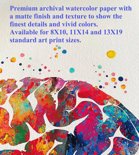 Dignovel Studios 11X14 DN529 Unframed Human Spine Bone Anatomy Medical Doctor Watercolor Art Print Poster Housewarming
