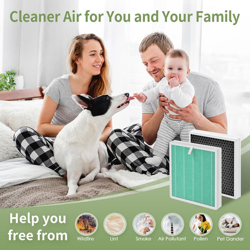G3 H13 HEPA Replacement Filter for AMEIFU G3 Air Purifier (Sferf-30) and VEWIOR A3 Air Purifier, 2-Pack