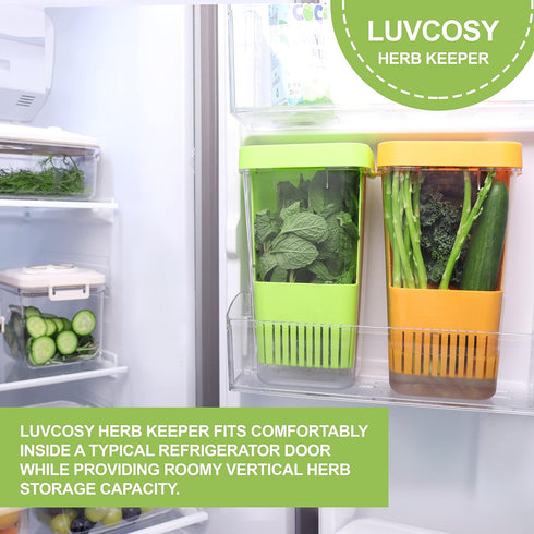 Fresh Herb Keeper for Refrigerator, Clear BPA-Free Storage Container for Cilantro, Parsley, Thyme, Mint & Asparagus
