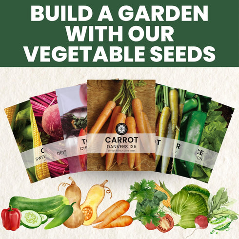126 5,000 2026 5 Carrot Danvers Premium Seeds for Planting Classic, Reliable Heirloom Variety for Strong, Sweet Roots