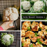 Packet (4) Sow Right Seeds - Snowball Cauliflower Seed for Planting - Non-GMO Heirloom with Instructions to Plant a