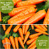 30Pcs 0.55 Inch CHGCRAFT Mini Easter Decor Carrots Realistic Fake Fruit Lifelike Carrots Simulation for Floral