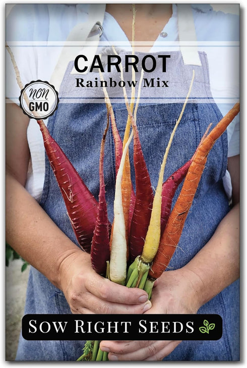 Sow Right Seeds - Rainbow Mix Carrot Seed for Planting - Non-GMO