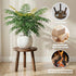 SEQUEDA Wood Plant Stands Indoor, Updated Single Plant Stand Modern Plant Table for Large Plants, Wooden Plant Stool