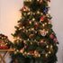 2 50 Count Meteds Christmas Lights PCS Clear Mini Lights White Wire UL Certified Connectable Warm White String Lights
