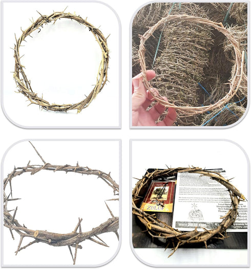ZULUF Crown of Thorns Ornament, 7.5" from Bethlehem Jerusalem, Gift Boxed