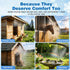Mellbree 45FT/14M, 12 Nozzles 3/4" Misters for Outside Patio Pre-Assembled Misting Cooling System with Brass & Adapter