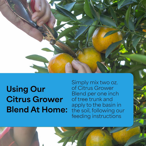 (1.7-0-0) 20oz Grow More Citrus Grower Blend - of Organic Citrus Fertilizer for Potted Trees with Chelated