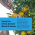 (1.7-0-0) 20oz Grow More Citrus Grower Blend - of Organic Citrus Fertilizer for Potted Trees with Chelated