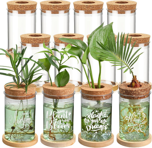 Baderke 12 Packs Plastic Plant Propagation Vase Set Thank You Gift Desktop