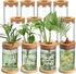 Baderke 12 Packs Plastic Plant Propagation Vase Set Thank You Gift Desktop