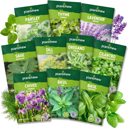 10 Herb Seeds Variety Pack - 7,000+ Heirloom Non-GMO Seeds - Basil,