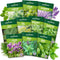 10 Herb Seeds Variety Pack - 7,000+ Heirloom Non-GMO Seeds - Basil,