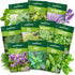 10 Herb Seeds Variety Pack - 7,000+ Heirloom Non-GMO Seeds - Basil,
