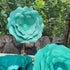 Pack 6 Turquoise Teal Paper Flower with Gold Leaf for Wall Living Room Bed Room Wall Decoration Wedding Birthday Bridal