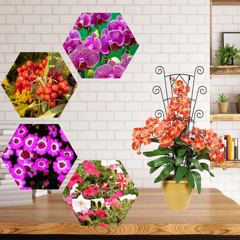 4 Pack Yhtpouqe Stackable Metal Plant Trellis for Climbing Plants Outdoor/Indoor - Sturdy Garden Trellis for Potted