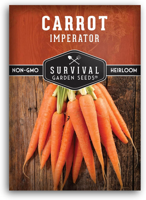Imperator 58 Carrot Seeds for Planting Grow Long, Straight, Sweet Carrots for