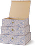 Soul & Lane Blue and White Floral Cardboard Decorative Storage Boxes with Gold Hardware - Set of 3, Aviary Garden for
