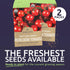 Packets! 150 Organic Matts Wild Cherry Tomato Seeds Two Seed Over Heirloom Non-GMO USDA Organic Seeds