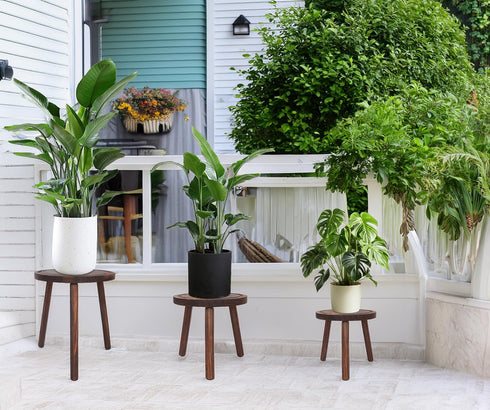 3-Pack 6-12 Inch Amdermi Wood Plant Stands Indoor, Single Plant Stand for Pots, Mid-Century Modern Plant Stool, Tall