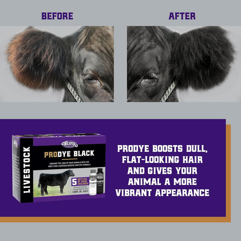5 Weaver Livestock ProDye Deep Black Hair Dye for Show Cattle & Sheep, Uniform Coverage, Gentle Formula, Bottle Animal