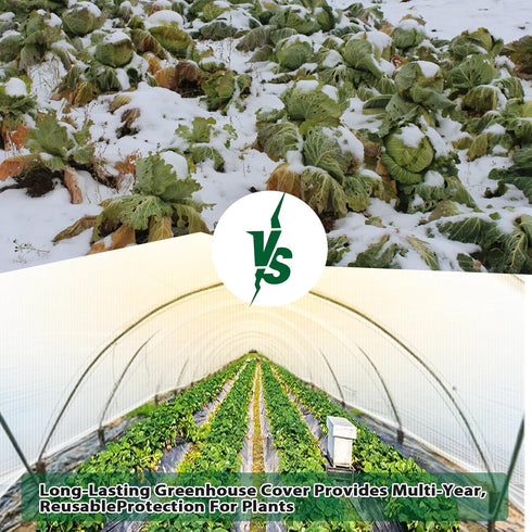 16 10x20FT Grommets, ANGAR Mil Heavy Duty Clear Greenhouse Tarp, Waterproof Clear Tarps with UV Resistant Greenhouse