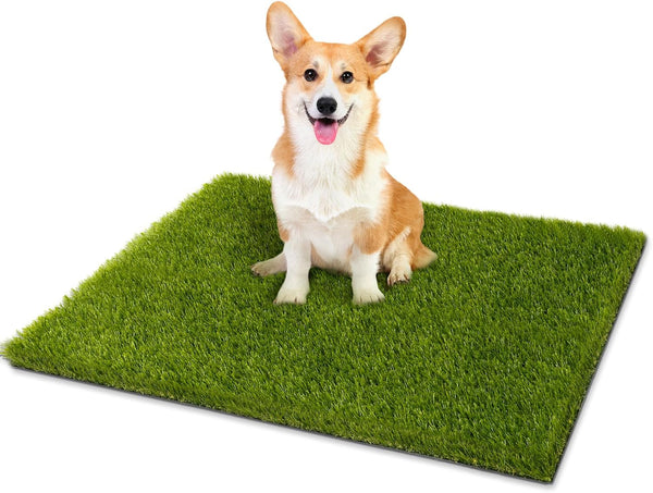 CooRug Fake Grass, 30 x 17 Inches Artificial Grass for Dogs, Realistic Turf