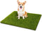 CooRug Fake Grass, 30 x 17 Inches Artificial Grass for Dogs, Realistic Turf