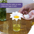 Peleg Design Daisy Plastic Egg Separator, Cute Flower Design Egg White Yolk Divider Kitchen Gadget
