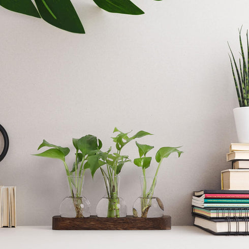 Decor(3 YIBOT Propagation Stations,Plant Propagation Vase,Desk Plant Terrarium with Retro Wooden Stand,Plant Lover