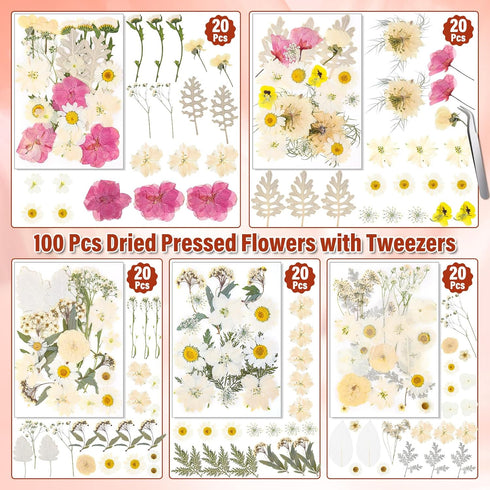 Dried Pressed Flowers for Resin, Real Pressed Flowers Dry Leaves Bulk Natural Herbs Kit for Scrapbooking Art Crafts