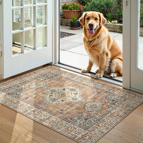 2x3 Lahome Oriental Door Mat Indoor Entrance, Washable Fall Indoor Rugs for Entryway Soft Small Kitchen Rugs Non Slip