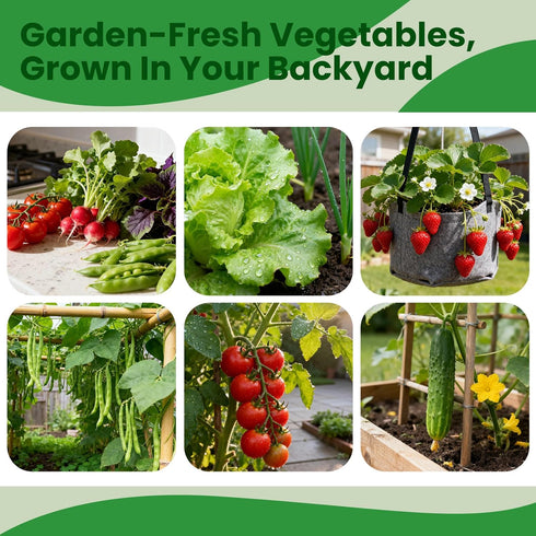 45 Pack 17,000+ Vegetable Seeds Variety - Non-GMO Heirloom for Planting Indoor & Outdoor Garden - Seed Vault Kit